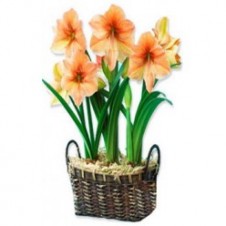 5pcs Cut Orange Lilies in a Basket